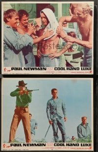 2k778 COOL HAND LUKE 2 LCs '67 Newman ready to eat 50 eggs + w/ the man with no eyes holding rifle!