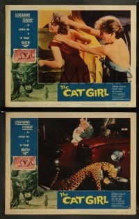 2k538 CAT GIRL 4 LCs '57 human feline Barbara Shelley, cool border art of huge cat, English horror!