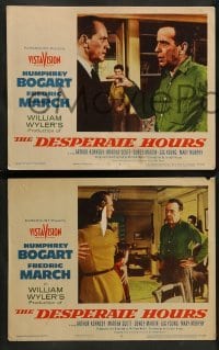 2k115 DESPERATE HOURS 8 LCs '55 Humphrey Bogart, Fredric March, Martha Scott, William Wyler!