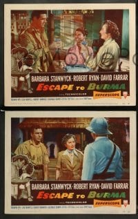 2k649 ESCAPE TO BURMA 3 LCs '55 Robert Ryan & Barbara Stanwyck in the jungle!