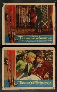 3g311 I WAS A TEENAGE WEREWOLF 8 LCs '57 AIP classic, Michael Landon, Albert Kallis & Reynold Brown