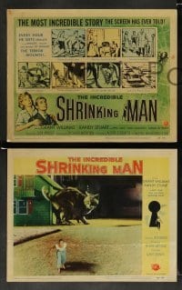 3g315 INCREDIBLE SHRINKING MAN 8 LCs '57 Jack Arnold classic, Reynold Brown sci-fi art on tc!