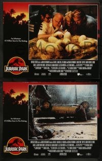 3g719 JURASSIC PARK 4 LCs '93 Spielberg, Sam Neill, Laura Dern, Jeff Goldblum, Richard Attenborough