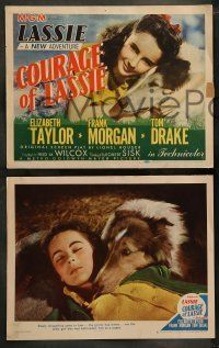 6w104 COURAGE OF LASSIE 8 LCs '46 great images of Elizabeth Taylor & the famous canine star!