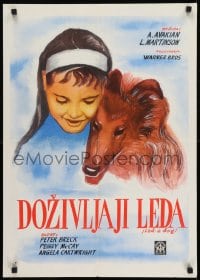 8p286 LAD A DOG Yugoslavian 20x28 1961 wonderful completely different Collie dog artwork!