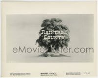 1h750 RAINTREE COUNTY 8x10.25 still 1957 different art of Clift & Elizabeth Taylor under tree!