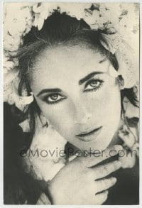 1m556 ELIZABETH TAYLOR deluxe 7.75x11.5 still 1960s beautiful super close up by Gianni Bozzacchi!