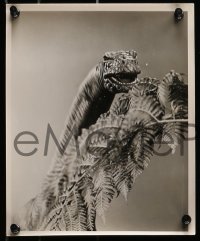 1s515 ANIMAL WORLD 6 8x10 stills 1956 Harryhausen, wonderful dinosaur special fx scenes!