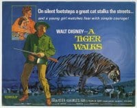 3z313 TIGER WALKS TC 1964 Disney, artwork of Brian Keith standing by huge prowling tiger!