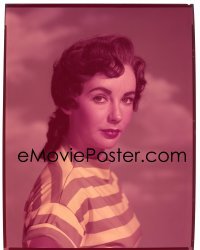 4d190 GIANT group of 14 8x10 transparencies 1956 Elizabeth Taylor aging from 18 to 39 to 45 to 50!