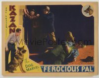 4p302 FEROCIOUS PAL LC 1934 great image of Kazan the Wonder Dog grabbing bad guy on ground!