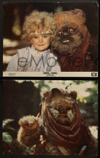 4w104 CARAVAN OF COURAGE 8 color 11x14 stills 1984 Eric Walker, An Ewok Adventure, Star Wars!