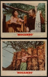 4w790 MOGAMBO 3 LCs 1953 Clark Gable, Grace Kelly & Ava Gardner in Africa!