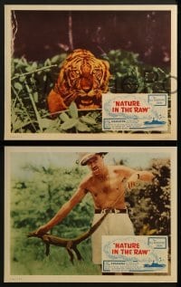 4w325 NATURE IN THE RAW 8 LCs 1960s Capt. Wallace Caswell Jr., great images, all adventure show!