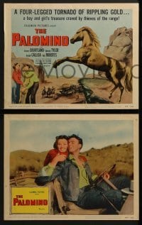 4w358 PALOMINO 8 LCs R1956 Jerome Courtland, Beverly Tyler, Joseph Calleia, great horse artwork!