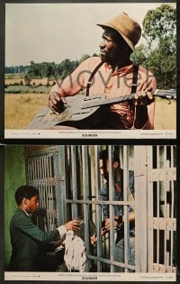 6w451 SOUNDER 8 color 11x14 stills 1972 Cicely Tyson, sharecroppers, directed by Martin Ritt!