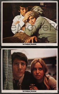 6w461 STRAW DOGS 8 LCs 1972 directed by Sam Peckinpah, close ups of Dustin Hoffman & Susan George!