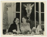 7h096 AT THE CIRCUS 8x10.25 still 1939 zany Groucho Marx & Margaret Dumont by giraffe in window!