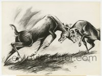 7h104 BAMBI 6.75x9 still 1942 pencil sketch of Bambi & Ronno in buck fight for Faline!