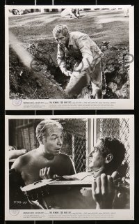 7x554 COOL HAND LUKE 8 8x10 stills 1967 Paul Newman, George Kennedy & Dennis Hopper!