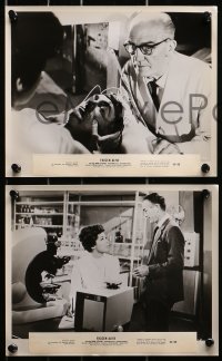 9s231 FROZEN ALIVE 20 8x10 stills 1966 cool German sci-fi/horror, suspended animation or death!