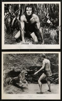 9s478 TARZAN'S DEADLY SILENCE 9 8x10 stills 1970 Jock Mahoney hunts Ron Ely, most dangerous animal!