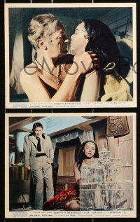 9s104 TAMANGO 7 color English FOH LCs 1959 Dorothy Dandridge, Curt Jurgens, interracial romance!