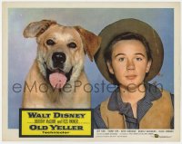 9y738 OLD YELLER LC 1957 best portrait of Tommy Kirk & Walt Disney's most classic canine!