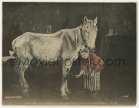 9y859 SUDS LC 1920 Mary Pickford takes wonderful care of Lavender the horse, dusting his knees!