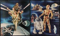 4z438 STAR WARS group of 2 19x23 special posters 1978 Goldammer art, Procter & Gamble tie-in!