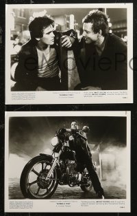 5t1145 RUMBLE FISH 12 8x10 stills 1983 Francis Ford Coppola, Matt Dillon, Mickey Rourke, Lane!