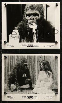 5t1247 SCHLOCK 9 8x10 stills R1979 John Landis missing comedy, a love stranger than King Kong!