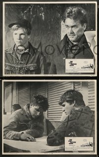 5t0170 LAST PICTURE SHOW 8 LCs 1971 Peter Bogdanovich, Jeff Bridges, Ellen Burstyn, Tim Bottoms!