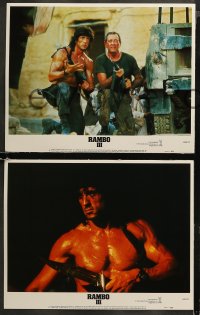 5t0237 RAMBO III 8 LCs 1988 Sylvester Stallone returns as John Rambo, Richard Crenna