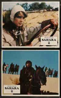 5t0388 SAHARA 7 int'l LCs 1984 images of Lambert Wilson & sexy Brooke Shields in the desert!