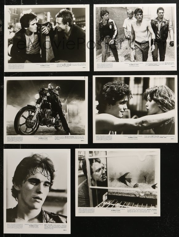 EMoviePoster.com: 5t1145 RUMBLE FISH 12 8x10 Stills 1983 Francis Ford ...