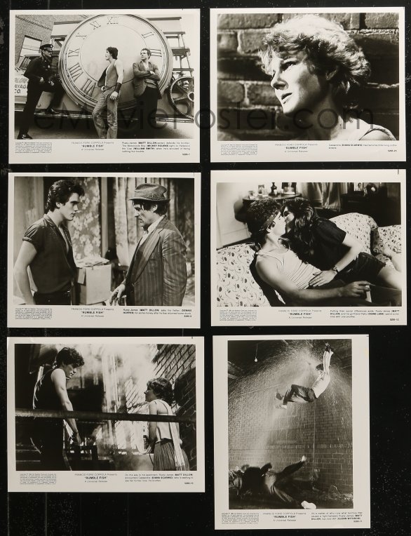 EMoviePoster.com: 5t1145 RUMBLE FISH 12 8x10 Stills 1983 Francis Ford ...