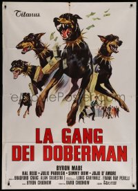 7c0104 DOBERMAN GANG Italian 1p 1973 best different art of criminals with killer dogs robbing bank!