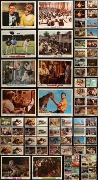 7f0260 LOT OF 90 LOBBY CARDS FROM WALT DISNEY LIVE ACTION MOVIES 1950s-1970s mostly incomplete sets!