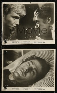 8g0258 MIDNIGHT COWBOY 4 8x10 stills 1969 cool images of Dustin Hoffman, Jon Voight!