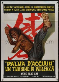 9b0962 INVINCIBLE IRON PALM Italian 1p 1973 cool kung fu artwork by Rodolfo Gasparri!