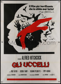 9b0445 BIRDS Italian 2p R1970s cool different art of Alfred Hitchcock profile & Tandy attacked!