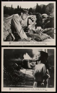 9c0794 BEYOND THE FOREST 5 8x10 stills 1949 cool images of sexy Bette Davis & Joseph Cotten!