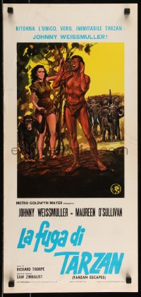 9h1081 TARZAN ESCAPES Italian locandina R1960s Johnny Weissmuller, O'Sullivan, different art!