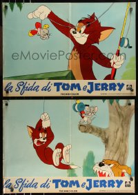 9k1384 LA SFIDA DI TOM E JERRY set of 9 Italian 19x27 pbustas 1959 Tom & Jerry animated cartoon!
