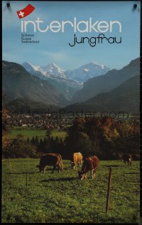 9k0320 INTERLAKEN JUNGFRAU 25x40 Swiss travel poster 1970s cows in the Bernese highlands!