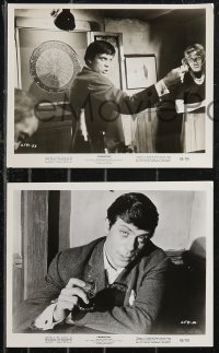 9p0884 PARANOIAC 4 8x10 stills 1963 Janette Scott, Oliver Reed, Sheila Burrell!