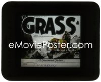 9t0740 GRASS glass slide 1925 pre-King Kong Merian Cooper & Schoedsack documentary, ultra rare!