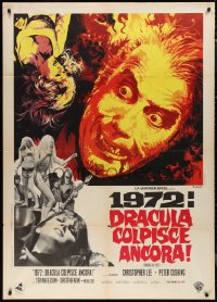 9t0155 DRACULA A.D. 1972 Italian 1p 1972 Hammer, vampire Christopher Lee, Caroline Munro, Casaro art!