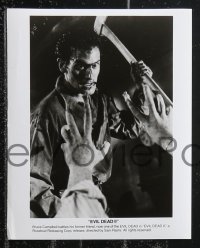 9t1069 EVIL DEAD 2 4 8x10 stills 1987 Sam Raimi, great images of Bruce Campbell as Ash!